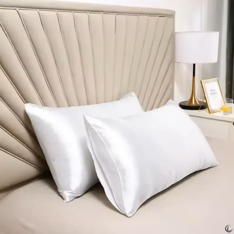 100% Natural Mulberry Silk Pil - Satin Silk Pillowcase Hair Skin recension och pris
